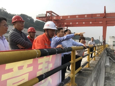 巴南区区委书记辛国荣率队调研中国西部木材贸易港